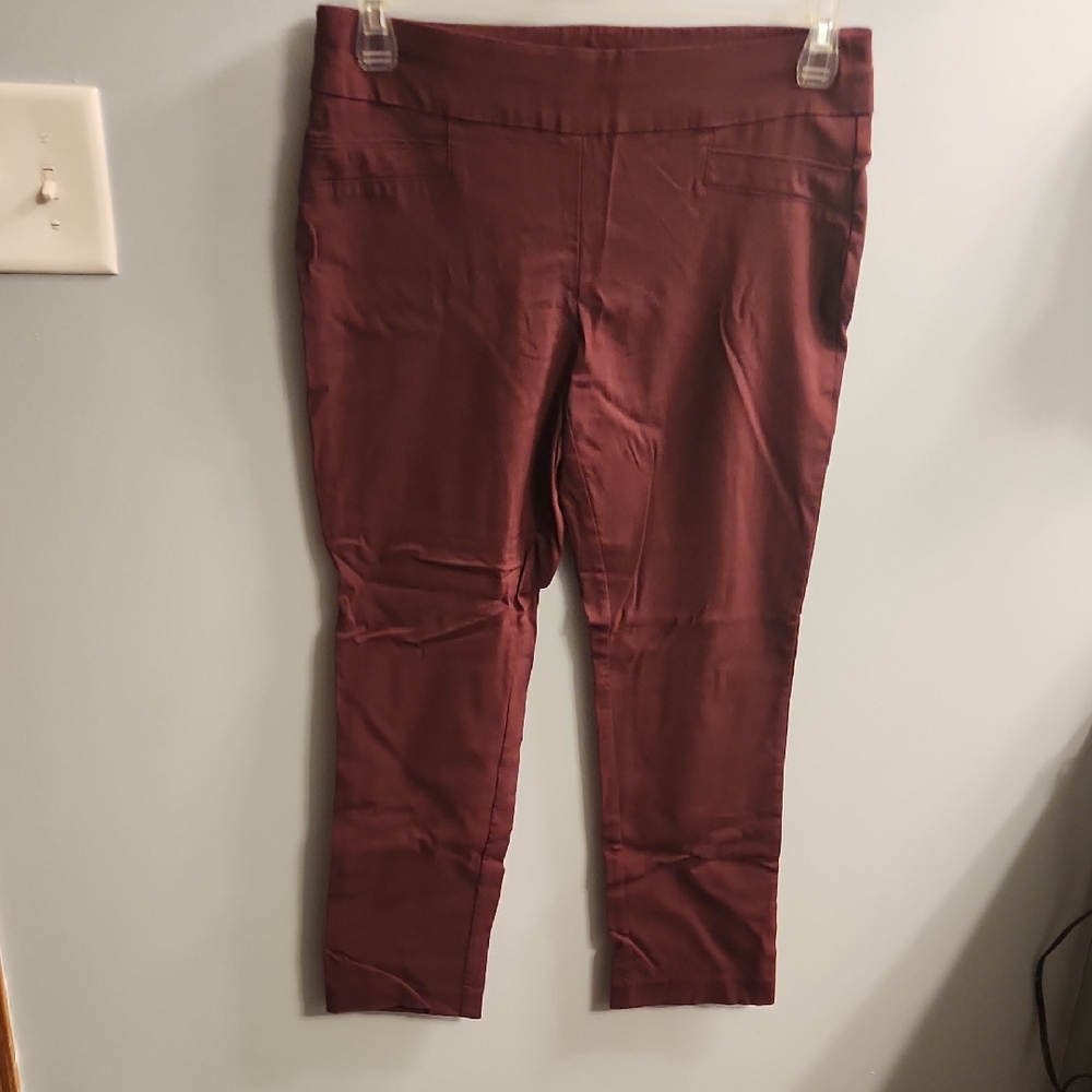 🍉Joe Benbasset Maroon Ankle Pants